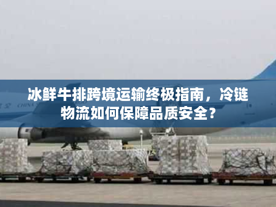 冰鲜牛排跨境运输终极指南，冷链物流如何保障品质安全？