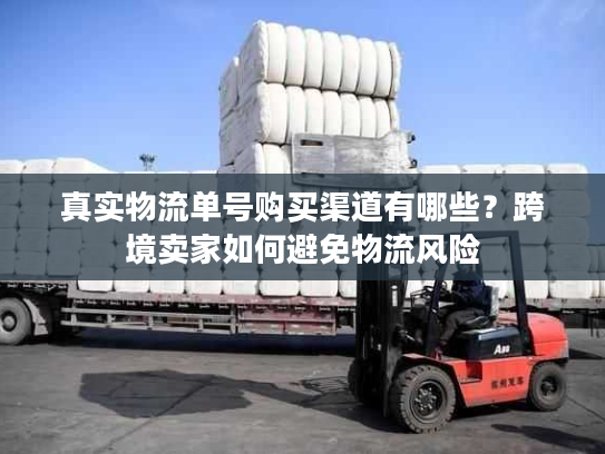 真实物流单号购买渠道有哪些？跨境卖家如何避免物流风险