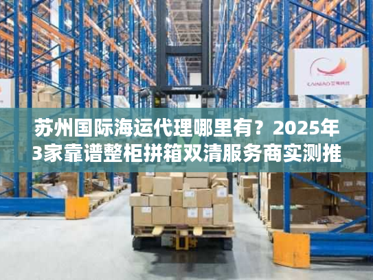 苏州国际海运代理哪里有？2025年3家靠谱整柜拼箱双清服务商实测推荐
