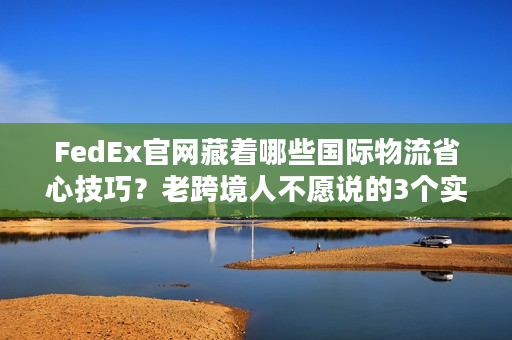 FedEx官网藏着哪些国际物流省心技巧？老跨境人不愿说的3个实战秘诀