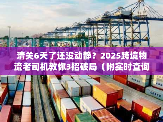 清关6天了还没动静？2025跨境物流老司机教你3招破局（附实时查询工具）