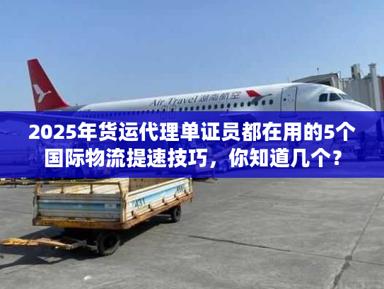 2025年货运代理单证员都在用的5个国际物流提速技巧，你知道几个？