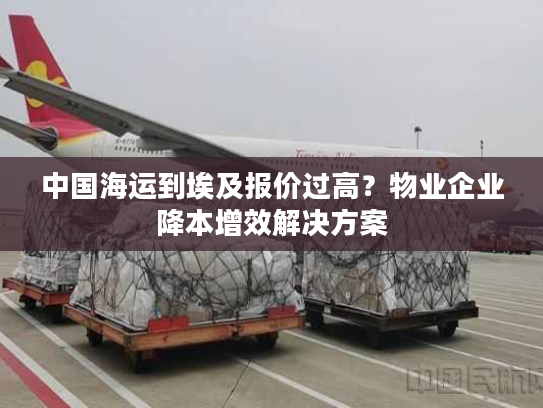 中国海运到埃及报价过高？物业企业降本增效解决方案