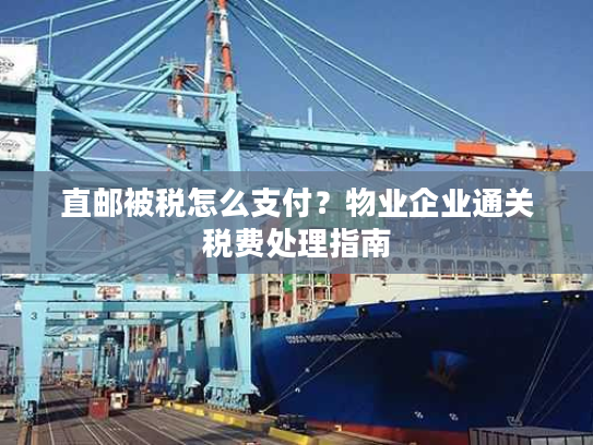 直邮被税怎么支付？物业企业通关税费处理指南