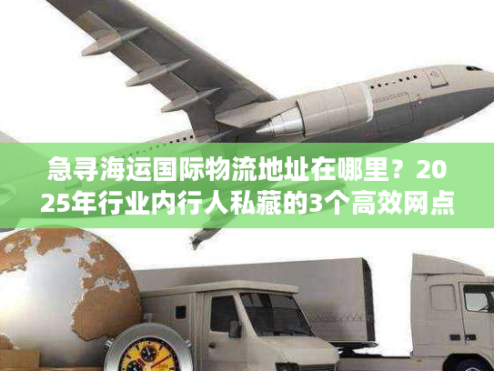 急寻海运国际物流地址在哪里？2025年行业内行人私藏的3个高效网点