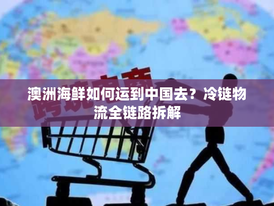 澳洲海鲜如何运到中国去？冷链物流全链路拆解
