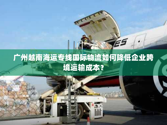 广州越南海运专线国际物流如何降低企业跨境运输成本？
