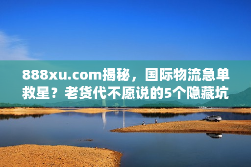 888xu.com揭秘，国际物流急单救星？老货代不愿说的5个隐藏坑与实战解法