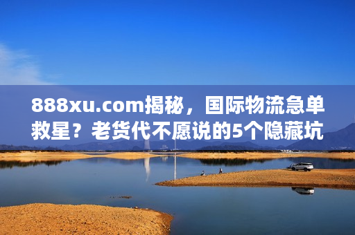 888xu.com揭秘，国际物流急单救星？老货代不愿说的5个隐藏坑与实战解法