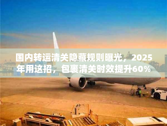 国内转运清关隐藏规则曝光，2025年用这招，包裹清关时效提升60%附真实案例）