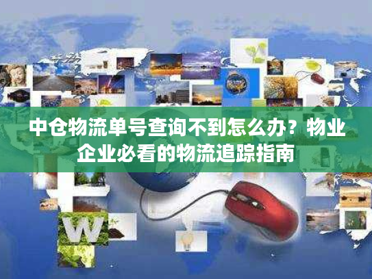 中仓物流单号查询不到怎么办？物业企业必看的物流追踪指南