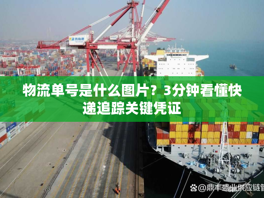物流单号是什么图片？3分钟看懂快递追踪关键凭证