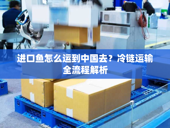 进口鱼怎么运到中国去?冷链运输全流程解析 进口鱼怎么运到中国去?冷链运输全流程解析