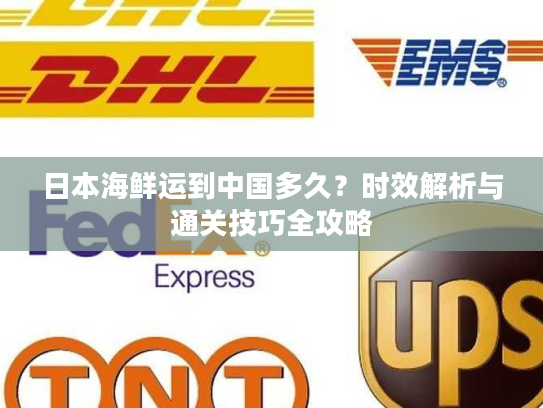 日本海鲜运到中国多久？时效解析与通关技巧全攻略