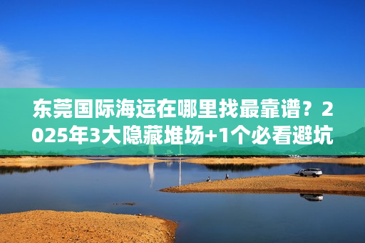 东莞国际海运在哪里找最靠谱？2025年3大隐藏堆场+1个必看避坑技巧