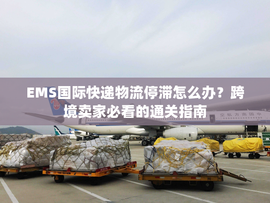 EMS国际快递物流停滞怎么办？跨境卖家必看的通关指南