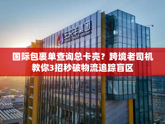 国际包裹单查询总卡壳？跨境老司机教你3招秒破物流追踪盲区