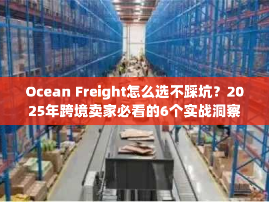 Ocean Freight怎么选不踩坑？2025年跨境卖家必看的6个实战洞察