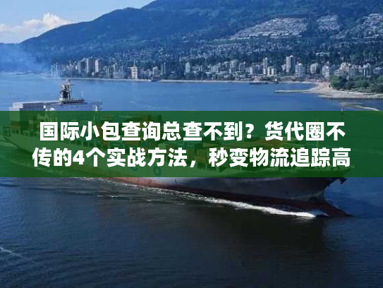 国际小包查询总查不到？货代圈不传的4个实战方法，秒变物流追踪高手