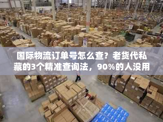 国际物流订单号怎么查？老货代私藏的3个精准查询法，90%的人没用过