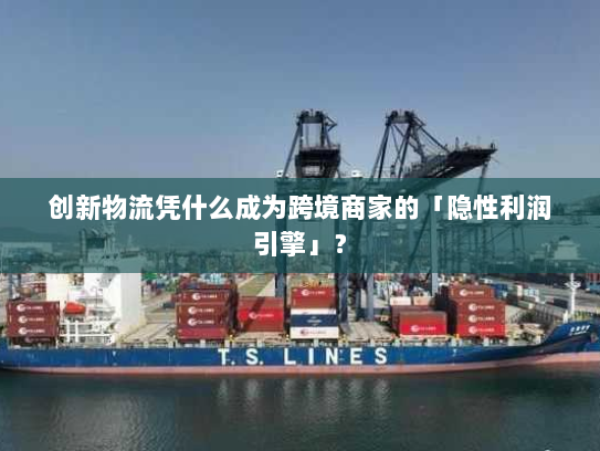 创新物流凭什么成为跨境商家的「隐性利润引擎」？