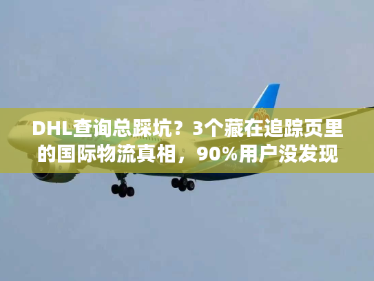 DHL查询总踩坑？3个藏在追踪页里的国际物流真相，90%用户没发现