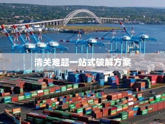 清关难题一站式破解方案