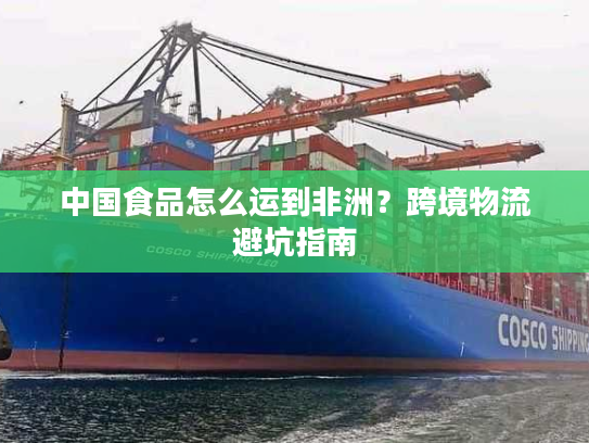 中国食品怎么运到非洲？跨境物流避坑指南
