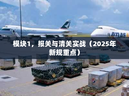 模块1，报关与清关实战（2025年新规重点）