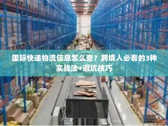 国际快递物流信息怎么查？跨境人必看的3种实战法+避坑技巧