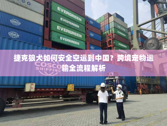 捷克狼犬如何安全空运到中国?跨境宠物运输全流程解析 捷克狼犬如何安全空运到中国?跨境宠物运输全流程解析