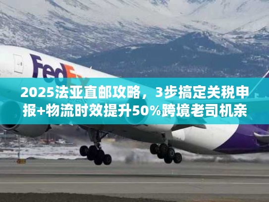 2025法亚直邮攻略，3步搞定关税申报+物流时效提升50%跨境老司机亲测有效