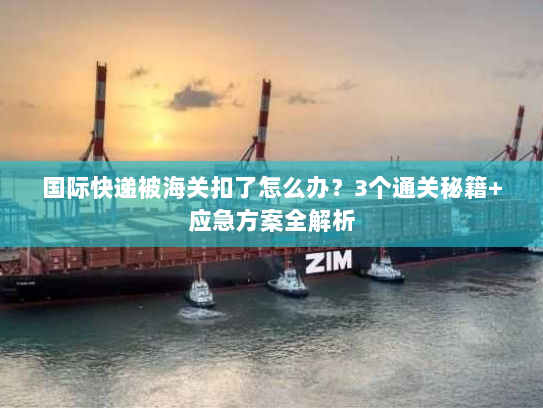 国际快递被海关扣了怎么办？3个通关秘籍+应急方案全解析