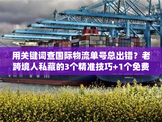 用关键词查国际物流单号总出错？老跨境人私藏的3个精准技巧+1个免费工具