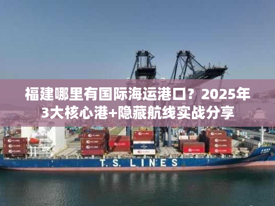 福建哪里有国际海运港口？2025年3大核心港+隐藏航线实战分享