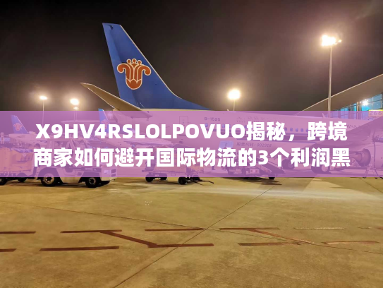 X9HV4RSLOLPOVUO揭秘，跨境商家如何避开国际物流的3个利润黑洞？