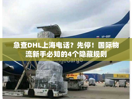 急查DHL上海电话？先停！国际物流新手必知的4个隐藏规则
