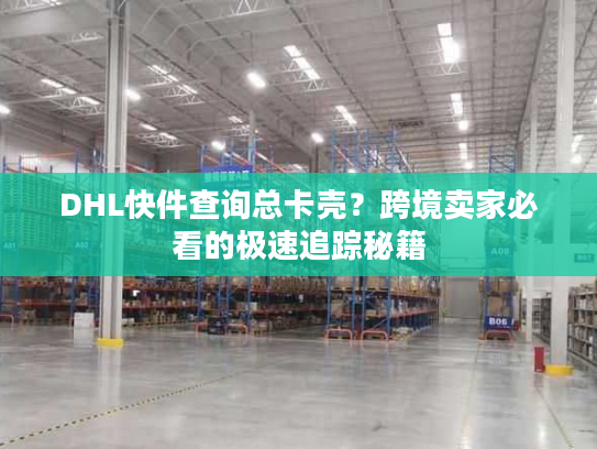 DHL快件查询总卡壳？跨境卖家必看的极速追踪秘籍