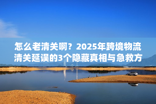 怎么老清关啊？2025年跨境物流清关延误的3个隐藏真相与急救方案