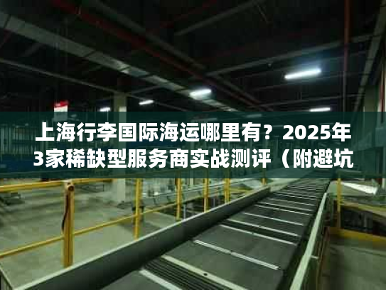 上海行李国际海运哪里有？2025年3家稀缺型服务商实战测评（附避坑清单）