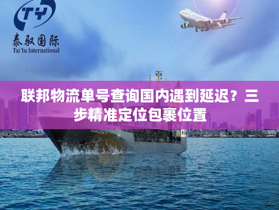 联邦物流单号查询国内遇到延迟？三步精准定位包裹位置