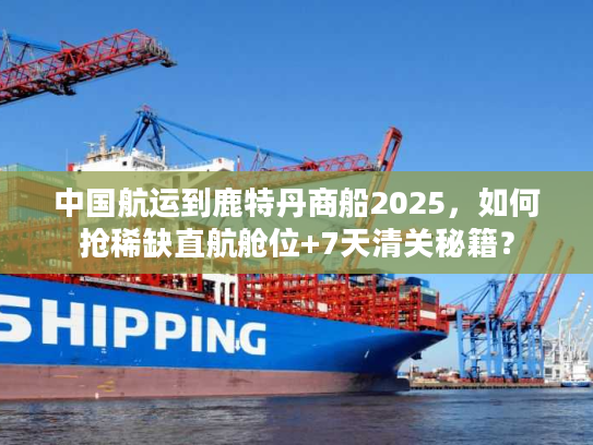 中国航运到鹿特丹商船2025，如何抢稀缺直航舱位+7天清关秘籍？