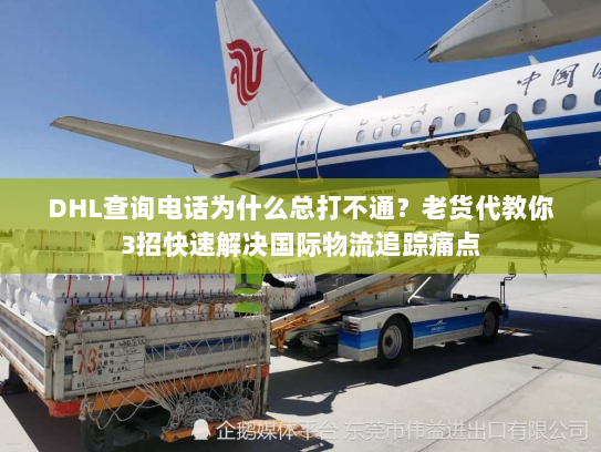 DHL查询电话为什么总打不通？老货代教你3招快速解决国际物流追踪痛点