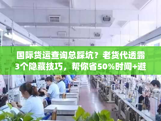 国际货运查询总踩坑？老货代透露3个隐藏技巧，帮你省50%时间+避免丢件