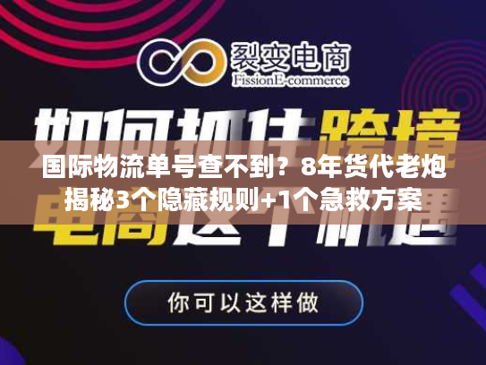 国际物流单号查不到？8年货代老炮揭秘3个隐藏规则+1个急救方案