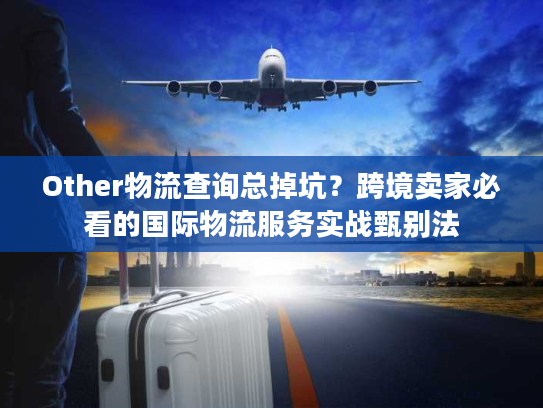 Other物流查询总掉坑？跨境卖家必看的国际物流服务实战甄别法