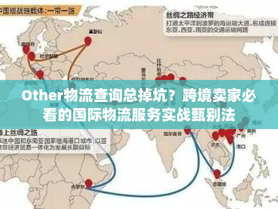 Other物流查询总掉坑？跨境卖家必看的国际物流服务实战甄别法