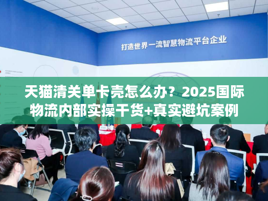 天猫清关单卡壳怎么办？2025国际物流内部实操干货+真实避坑案例