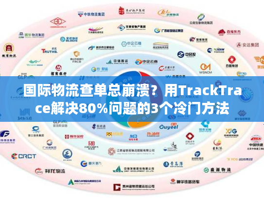 国际物流查单总崩溃？用TrackTrace解决80%问题的3个冷门方法