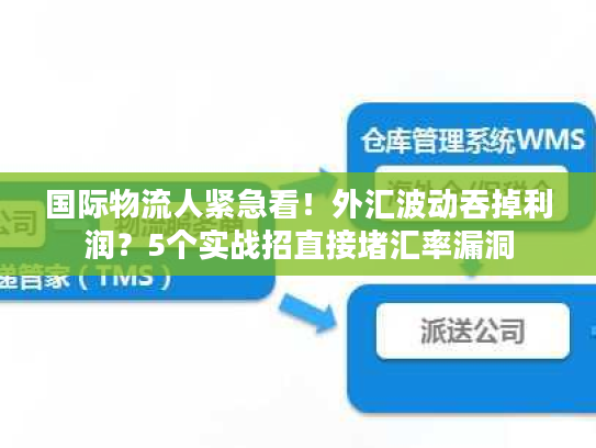 国际物流人紧急看！外汇波动吞掉利润？5个实战招直接堵汇率漏洞